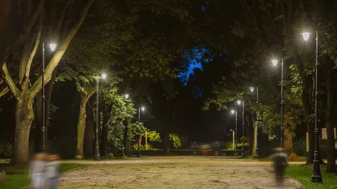 Smart lighting with tunable white LEDs adapt the colour temperature in Skaryszewski Park to ensure a light that suits both people and the biodiversity